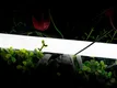 Гибкий неон SWG SWG-2360-24-NW-66 360 Гибкий неон SWG SWG-2360-24-NW-66 360