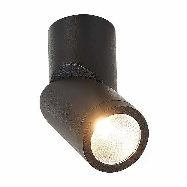 Потолочный светильник ST Luce ST650.442.10 Потолочный светильник ST Luce ST650.442.10