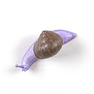 Вешалка Seletti 14630 COL purple Snail Awake Botanical Diva