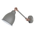 Настенный светильник Arte Lamp A2054AP-1GY Braccio