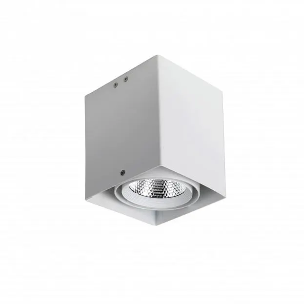 Потолочный светильник Favourite 1986-1U Flashled Потолочный светильник Favourite 1986-1U Flashled