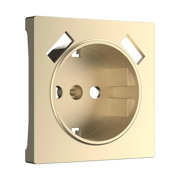 Накладка для USB розетки Werkel W1179511 (шампань) a050854 Накладка для USB розетки Werkel W1179511 (шампань) a050854