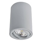 Светильник Потолочный Arte Lamp A1560PL-1GY