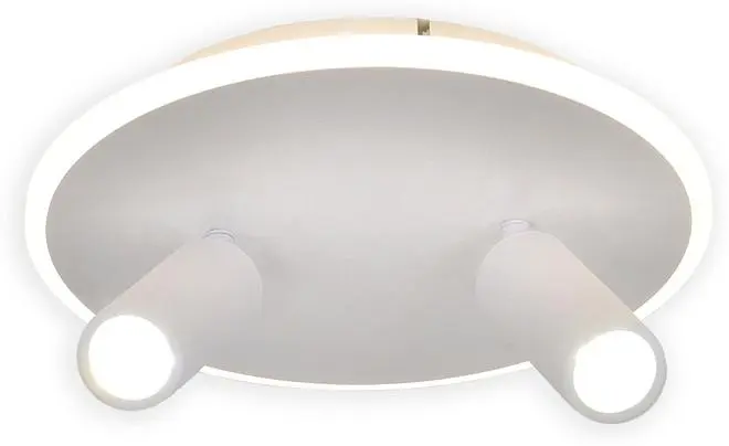 Настенно-потолочный светильник Escada 20046SMA/02LED WH 20046LED Настенно-потолочный светильник Escada 20046SMA/02LED WH 20046LED