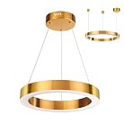 Подвесной светильник Odeon Light 3885/25LG Brizzi