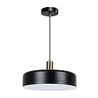 Подвесной светильник Arte Lamp A7152SP-1BK SKAT