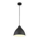 Подвесной светильник Arte Lamp A2055SP-1BK BRACCIO