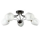 Потолочная люстра Arte Lamp A2706PL-5CK Brighton