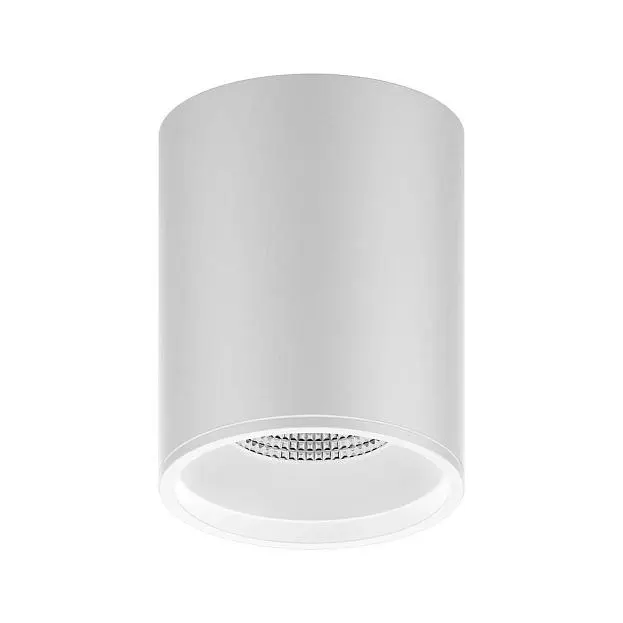 Потолочный светильник Gauss HD011 Overhead Потолочный светильник Gauss HD011 Overhead