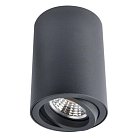 Светильник Потолочный Arte Lamp A1560PL-1BK SENTRY