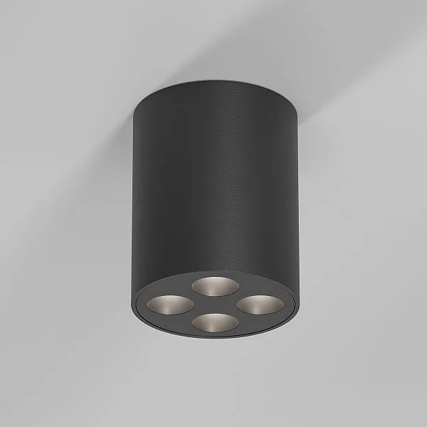 Потолочный акцентный светильник Elektrostandard 25111/LED Points a067485 Потолочный акцентный светильник Elektrostandard 25111/LED Points a067485