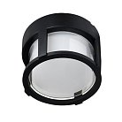 Уличный потолочный светильник Arte Lamp A6206PF-1BK ULYSSES