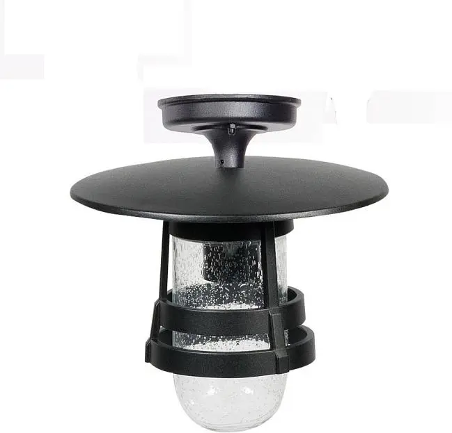 Потолочный светильник уличный Oasis Light 68905A Bl TOKIO 2 Потолочный светильник уличный Oasis Light 68905A Bl TOKIO 2