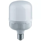 Лампа Gauss 63428 T140 80W 6400lm 4000K E40 LED