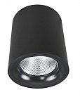 Светильник Потолочный Arte Lamp A5112PL-1BK