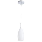 Светильник Подвесной Arte Lamp A4282SP-1CC BICCHIERE