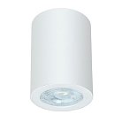 Точечный накладной светильник Arte Lamp A1468PL-1WH TINO