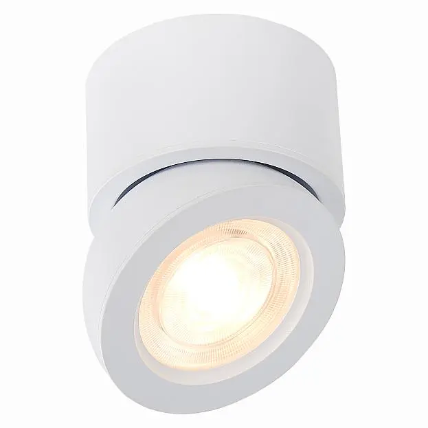Потолочный светильник ST Luce ST654.532.10 Потолочный светильник ST Luce ST654.532.10
