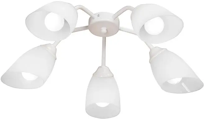 Потолочная люстра Vitaluce V31950/5PL Потолочная люстра Vitaluce V31950/5PL