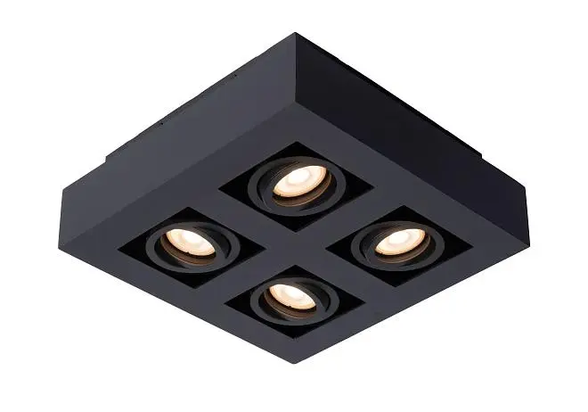 Потолочный светильник Lucide 09119/21/30 XIRAX Потолочный светильник Lucide 09119/21/30 XIRAX