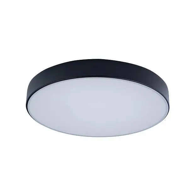 Потолочный светильник Loft It 10002/24 Black Axel Потолочный светильник Loft It 10002/24 Black Axel