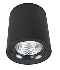 Светильник Потолочный Arte Lamp A5130PL-1BK FACILE