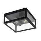 Уличный потолочный светильник Arte Lamp A4569PF-2BK BELFAST