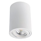 Светильник Потолочный Arte Lamp A1560PL-1WH SENTRY