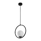 Подвесной светильник Arte Lamp A7741SP-1BK MATISSE