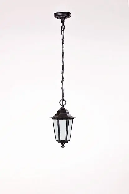 Уличный светильник подвесной Oasis Light 79805S Bl Уличный светильник подвесной Oasis Light 79805S Bl