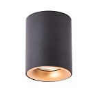 Светильник Потолочный Arte Lamp A1532PL-1BK TORRE