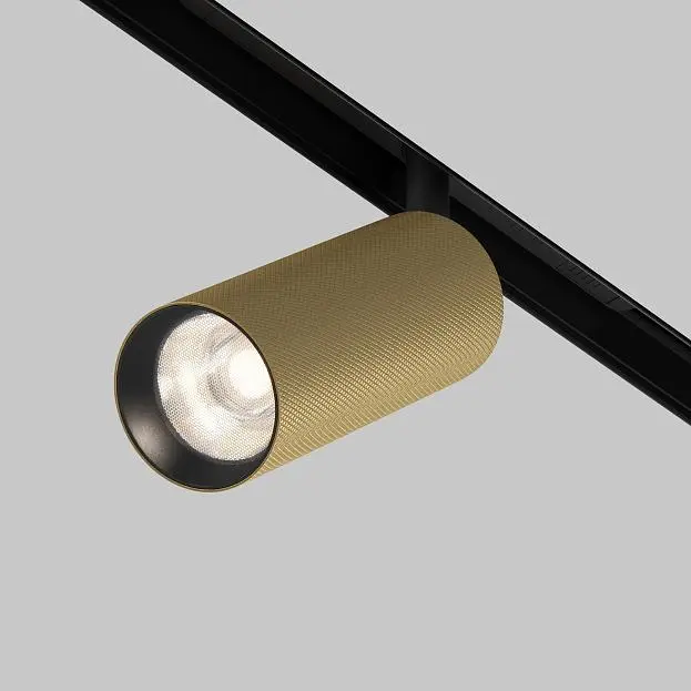 Трековый светильник Technical Maytoni TR097-2-12W4K-M-BMG Artisan Трековый светильник Technical Maytoni TR097-2-12W4K-M-BMG Artisan