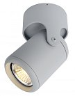 Светильник Потолочный Arte Lamp A3316PL-1GY