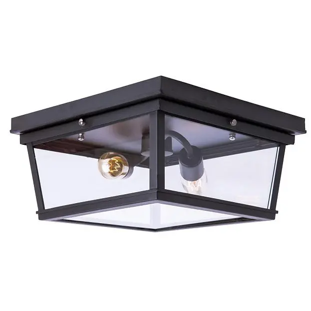 Потолочный светильник Loft IT Loft3110-2C Modern Filament Потолочный светильник Loft IT Loft3110-2C Modern Filament
