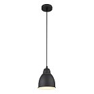 Подвесной светильник Arte Lamp A2054SP-1BK Braccio