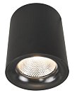 Светильник Потолочный Arte Lamp A5118PL-1BK