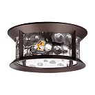 Ландшафтный потолочный светильник ODEON LIGHT 4961/2C MAVRET