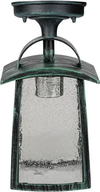Потолочный светильник уличный Oasis Light 2736 05A V FRANKFURT I Потолочный светильник уличный Oasis Light 2736 05A V FRANKFURT I