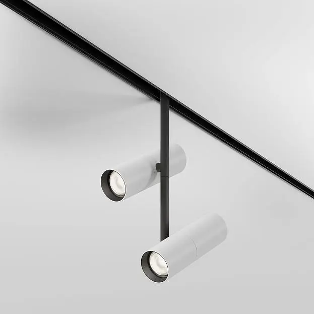 Трековый светильник Technical Maytoni TR005-4-2X12W-DS-BW Elti Duo Трековый светильник Technical Maytoni TR005-4-2X12W-DS-BW Elti Duo