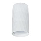 Накладной светильник Arte Lamp A5557PL-1WH Fang