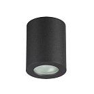 Потолочный накладной светильник Odeon Light 3572/1C AQUANA