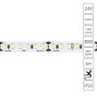 Светодиодная лента 24V 9,6W/m 6000К 5м Arte Lamp A2418008-03-6K TAPE