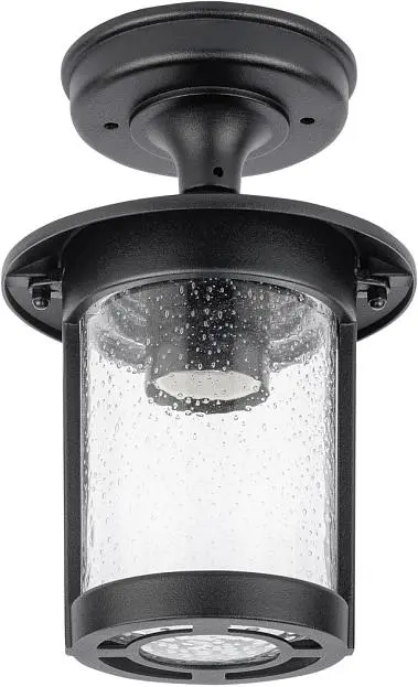Потолочный светильник уличный Oasis Light 18205A Bl CORDOBA Потолочный светильник уличный Oasis Light 18205A Bl CORDOBA