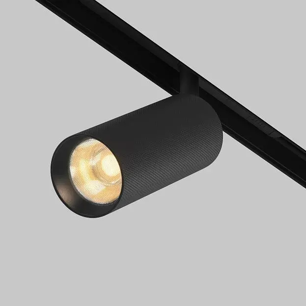 Трековый светильник Technical Maytoni TR097-2-12W2.7K-M-BB Artisan Трековый светильник Technical Maytoni TR097-2-12W2.7K-M-BB Artisan