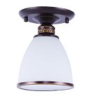 Светильник Потолочный Arte Lamp A9518PL-1BA BONITO